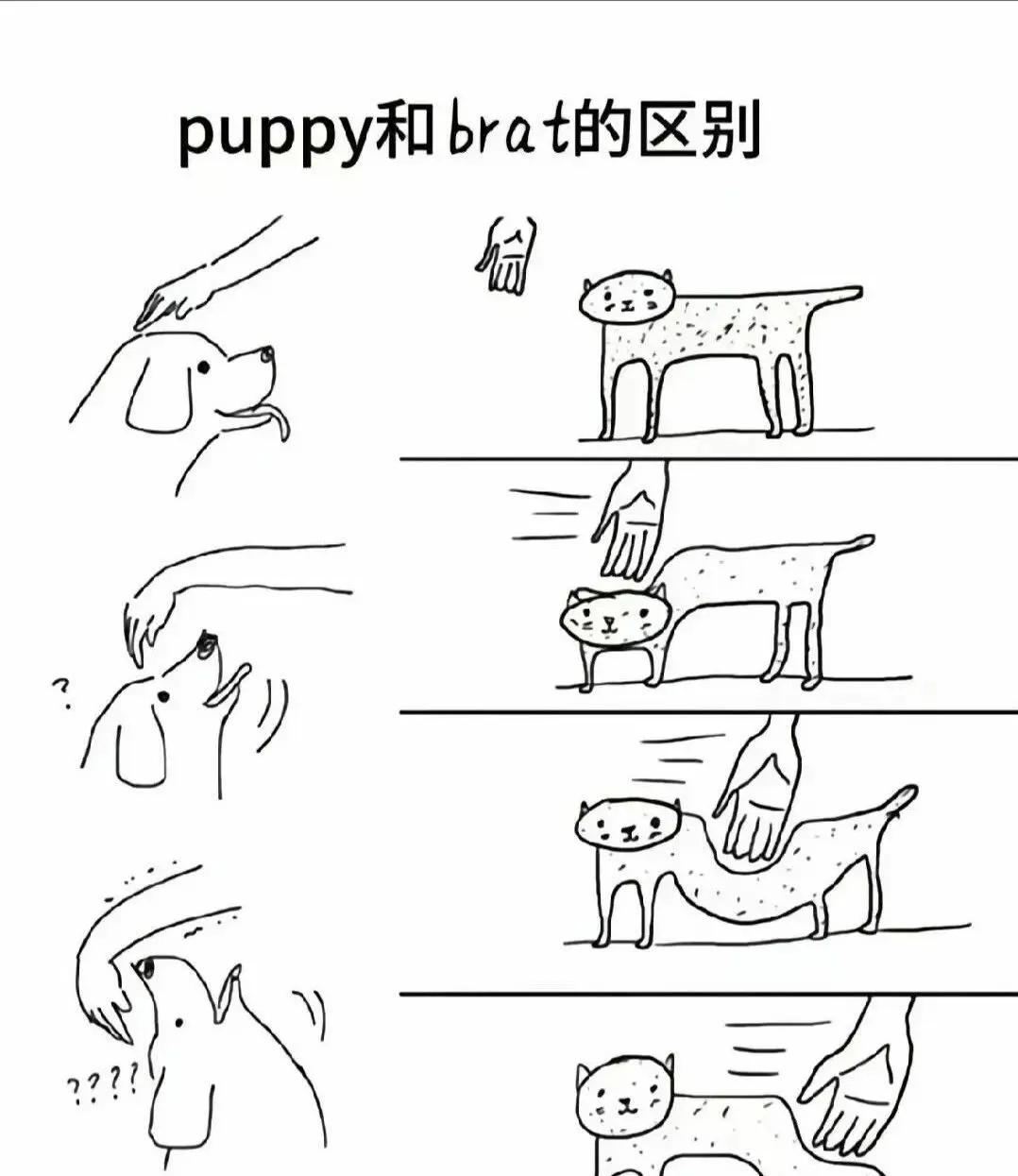 西檬之家-Brat属性是什么？字母圈Brat角色解析。