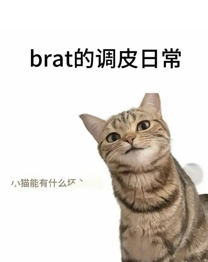 【西檬之家】女王入门指南：BDSM社群新人的心理建设