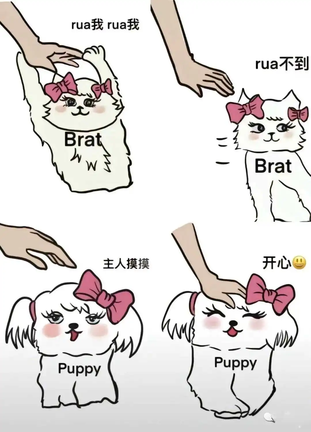 【西檬之家】女王与字母圈新人指南：如何理解Dom/sub关系