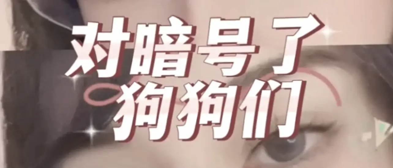 【西檬之家】BD是什么？字母圈新人入圈指南