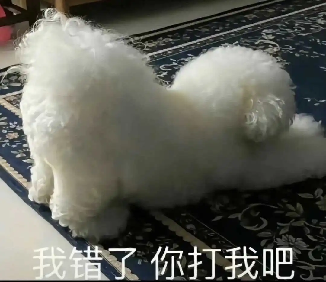 西檬之家-BDSM K8猫系是什么意思？