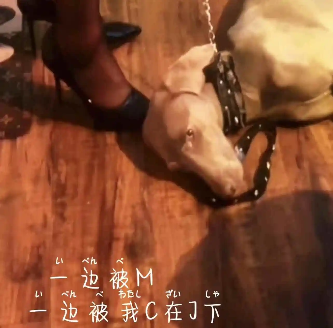 西檬之家-字母圈的DOM是什么意思？