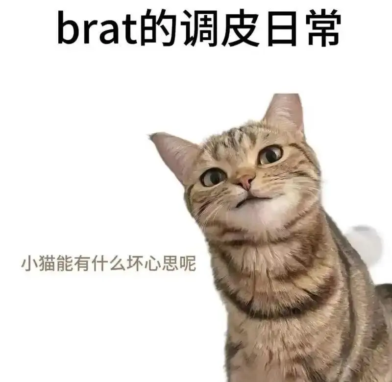 【西檬之家】BDSM新人入圈指南：解析SSC原则与核心术语